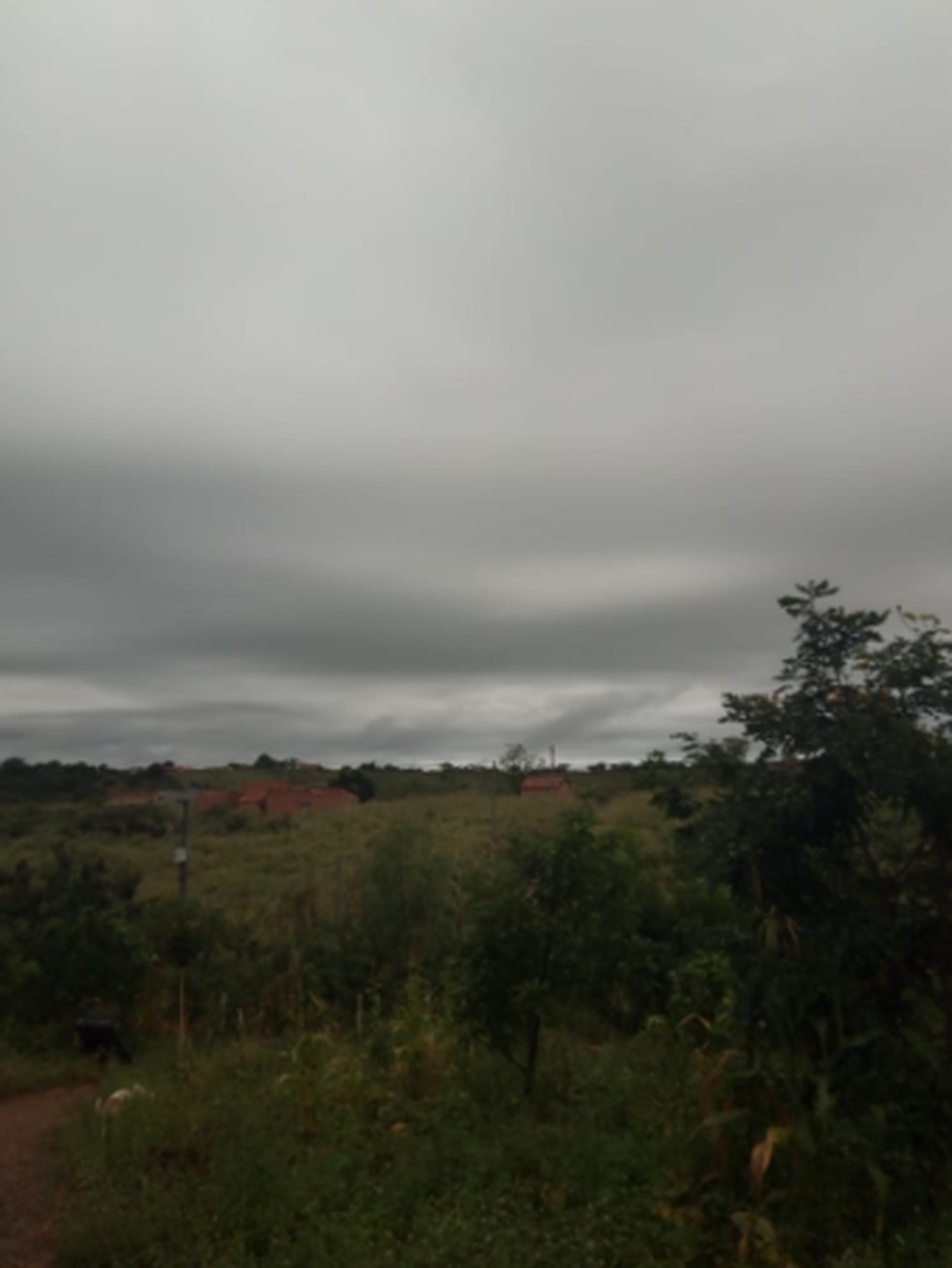 Caririaçu também recebeu boas precipitações entre domingo e esta segunda-feira. — Foto: Aldemir Linhares/Arquivo Pessoal
