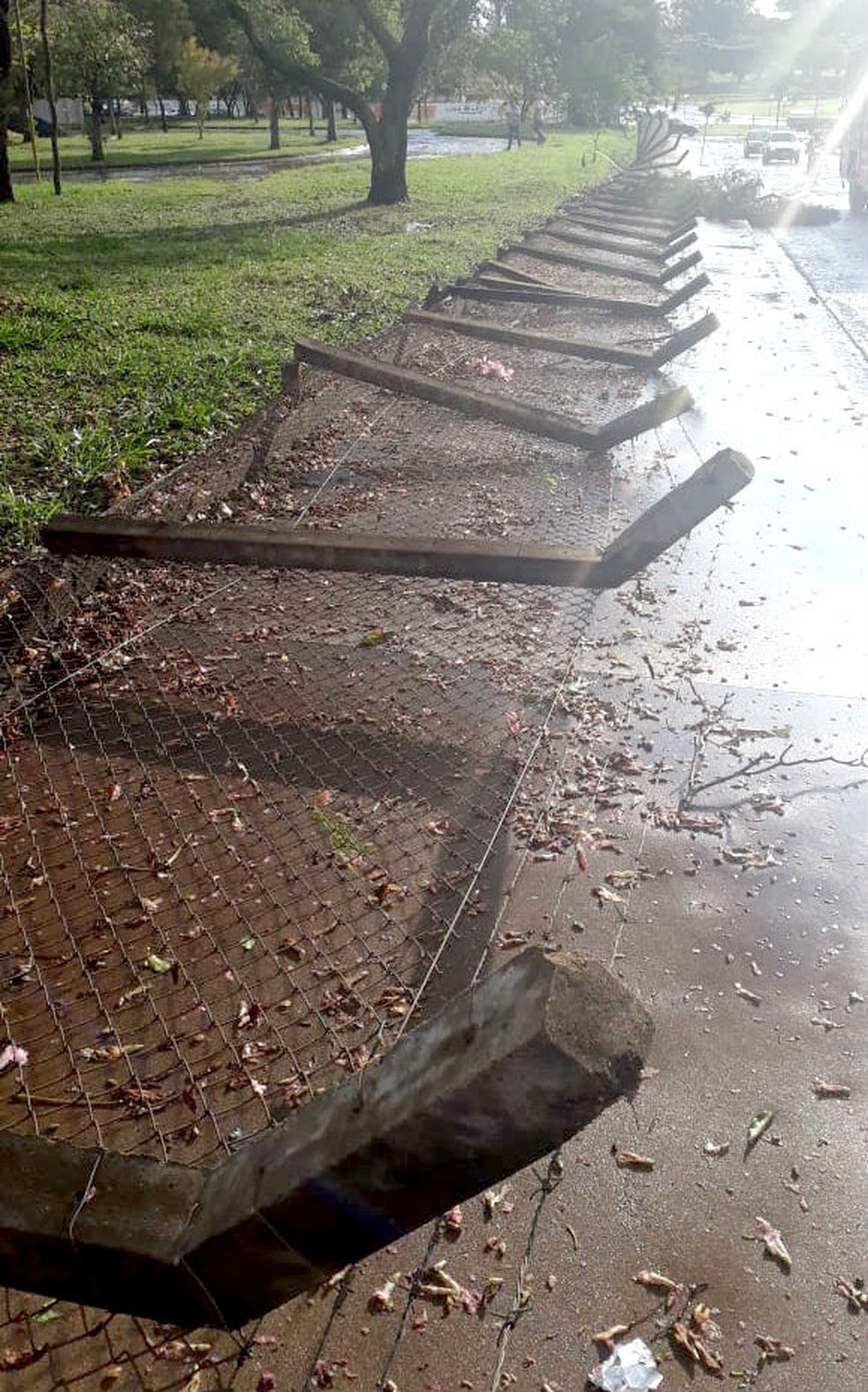 O vento forte que chegou junto com a chuva derrubou um alabrado em Assis — Foto: Arquivo pessoal