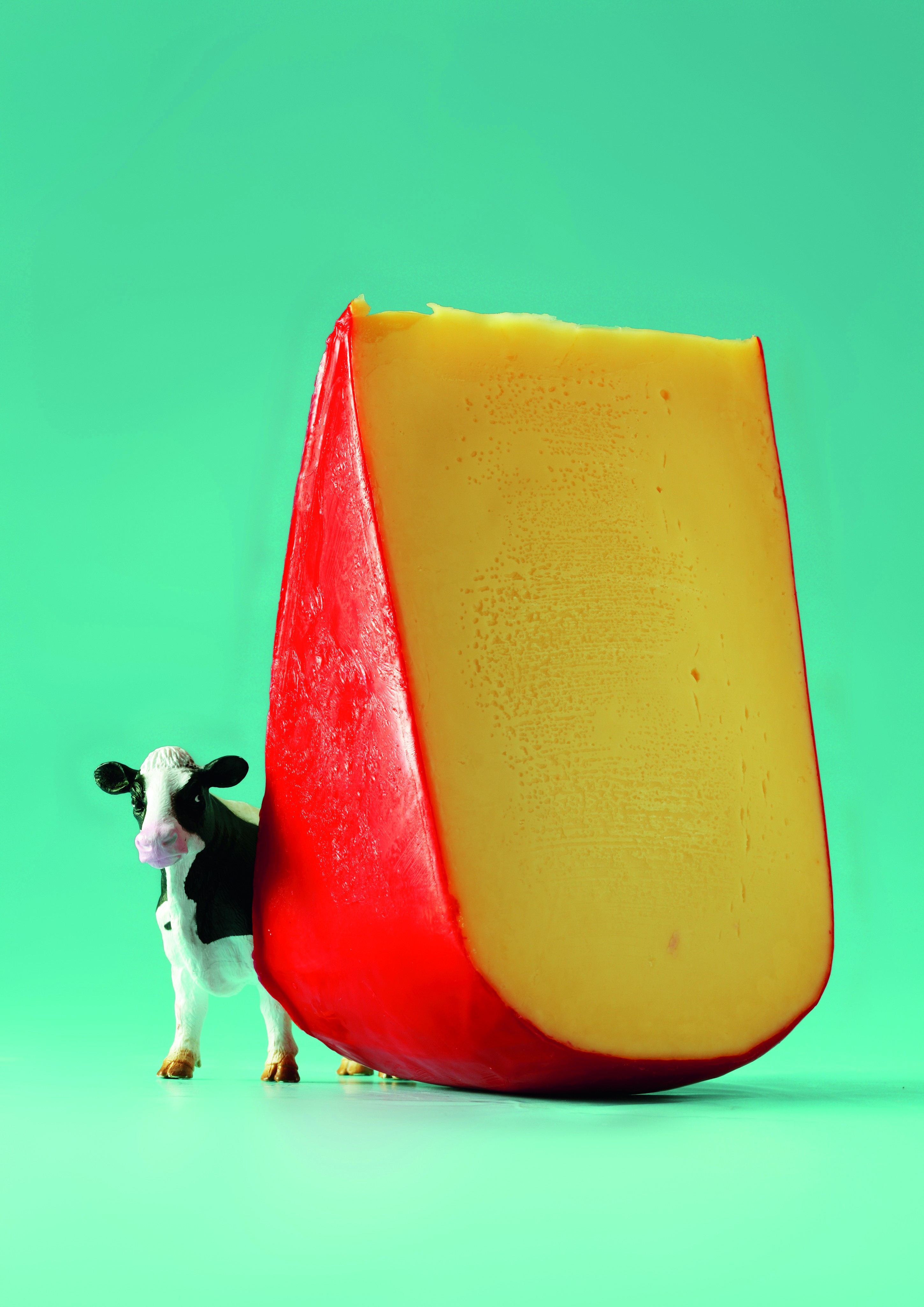 lácteos Derivados produzidos a partir da proteína beta-caseína A2 são destinados ao mercado gourmet (Foto: Getty Images)