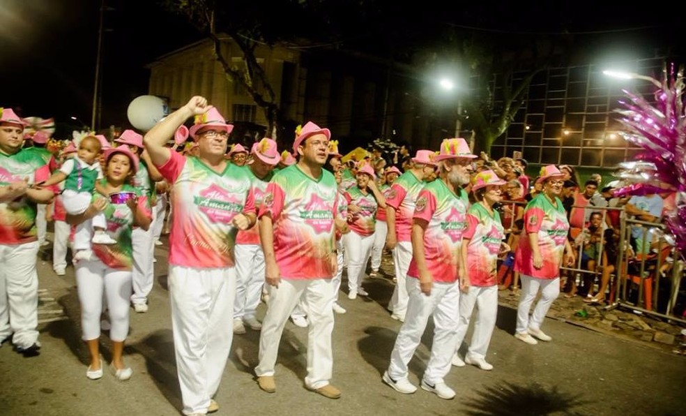 Ala Amantes do desfile de 2018 da Escola de Samba Balanço do Morro — Foto: Franklin Levy
