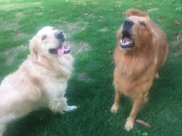 O cão que fuma: Quem foi