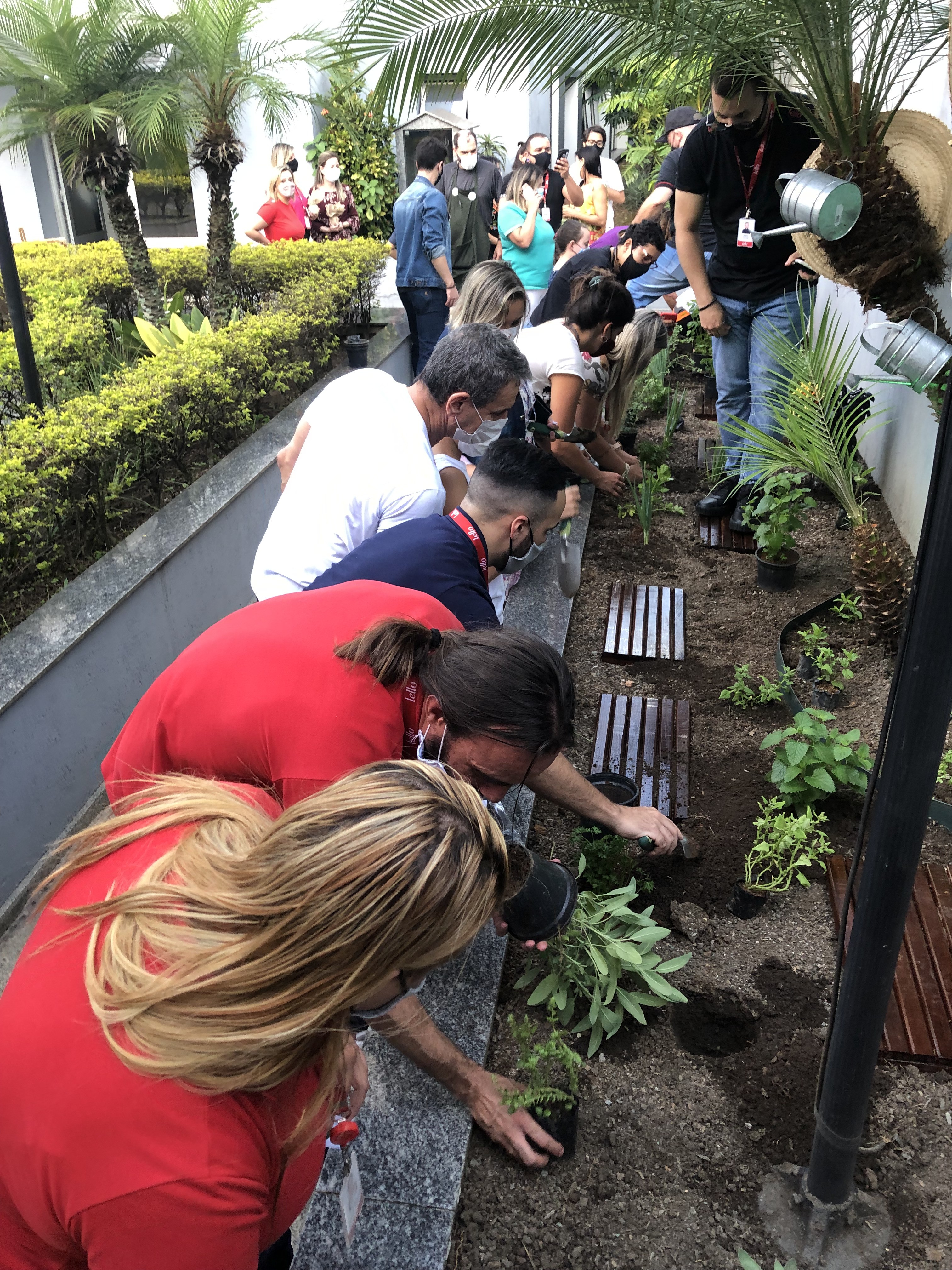 A horta na sede da Lello foi estreada com a ajuda de toda a diretoria e alguns colaboradores (Foto: Divulgação/Assessoria de Impressa da Lello)