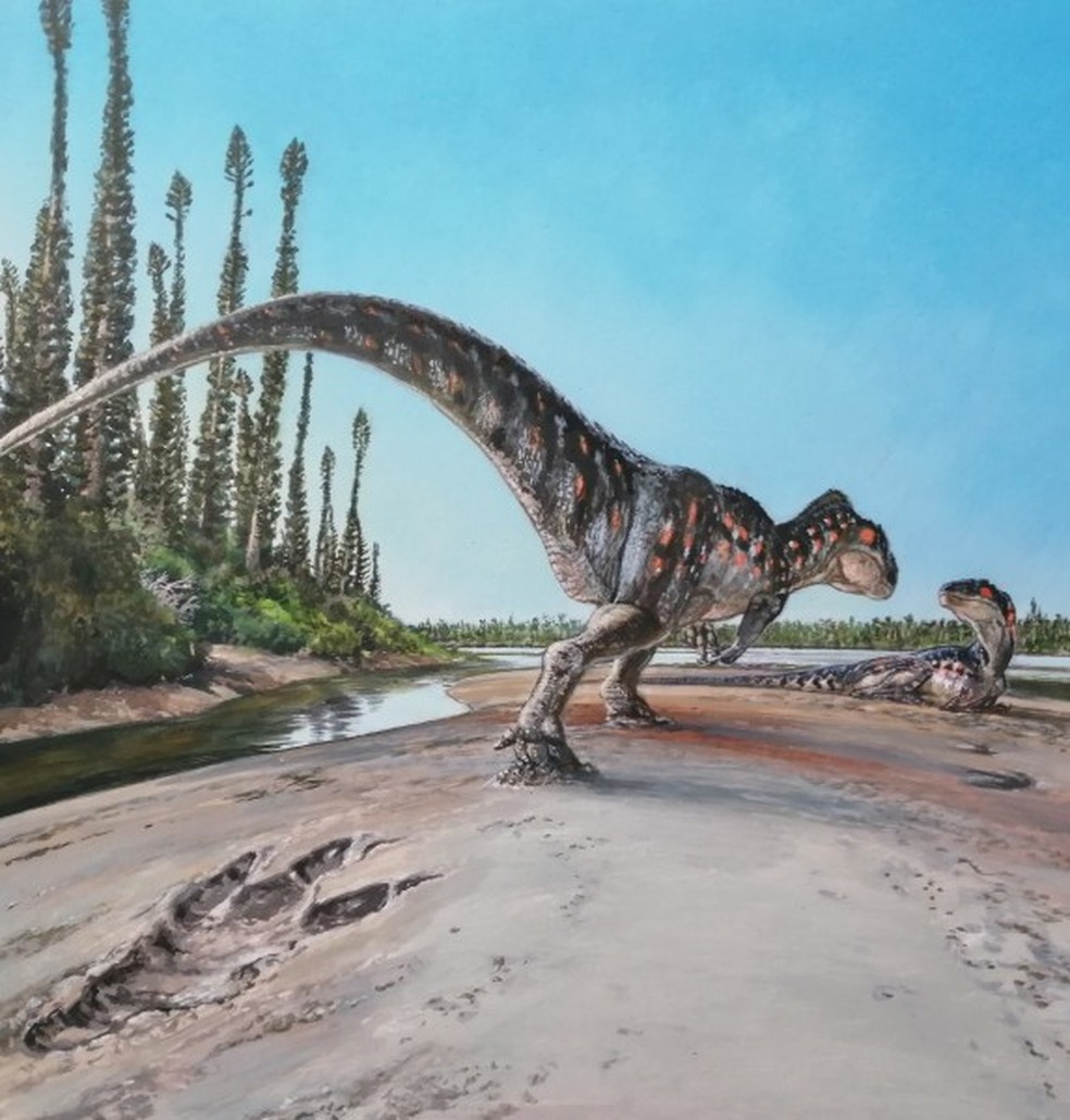 Ilustração gráfico do Megalossauro — Foto: Divulgação/James McKay