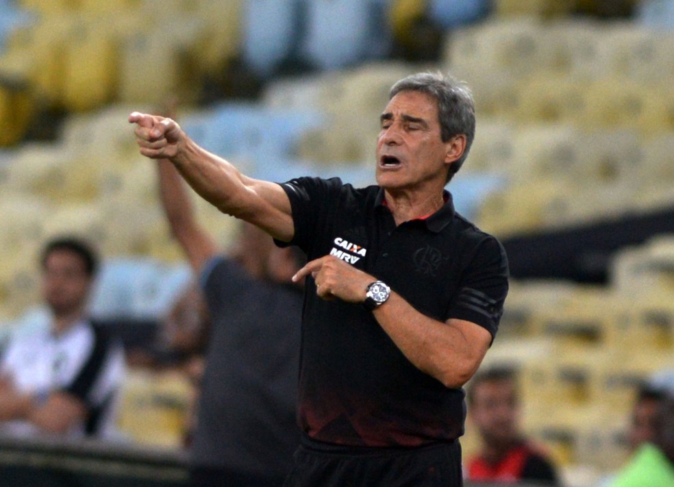 Paulo César Carpegiani em Flamengo x Botafogo (Foto: André Durão)