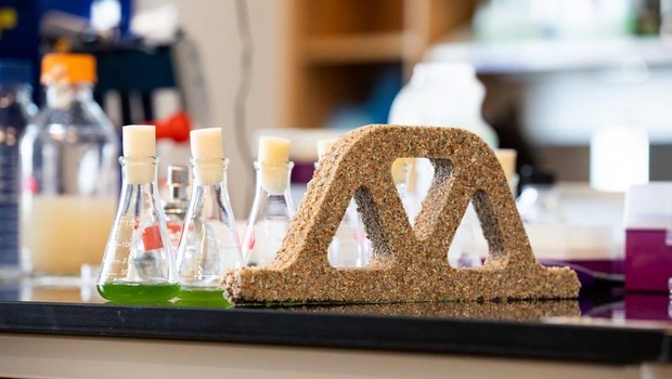 As cianobactérias são mantidas vivas na mistura de areia com hidrogel  (Foto: College of Engineering and Applied Science at Colorado University Boulder)