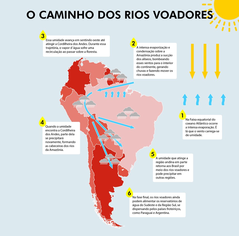 Fonte: Projeto Rios Voadores — Foto: G1