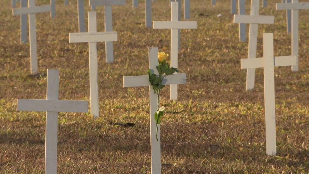 Cruzes são instaladas na Esplanada dos Ministérios em memória às vítimas da Covid-19 — Foto: TV Globo/Reprodução