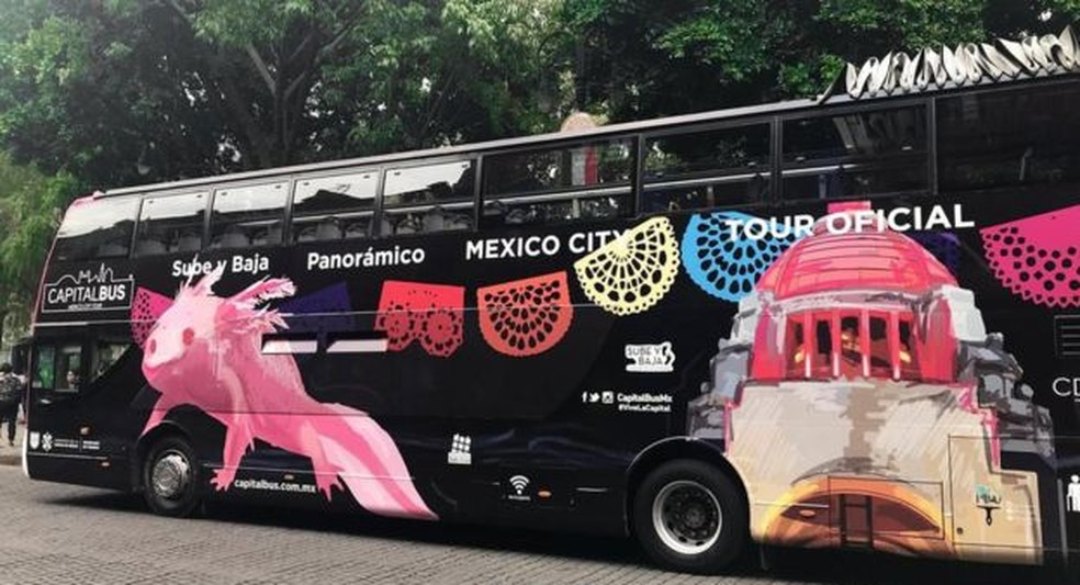 O novo ônibus de turismo oficial da Cidade do México exibe a imagem de um axolote albino — Foto: Megan Frye/BBC