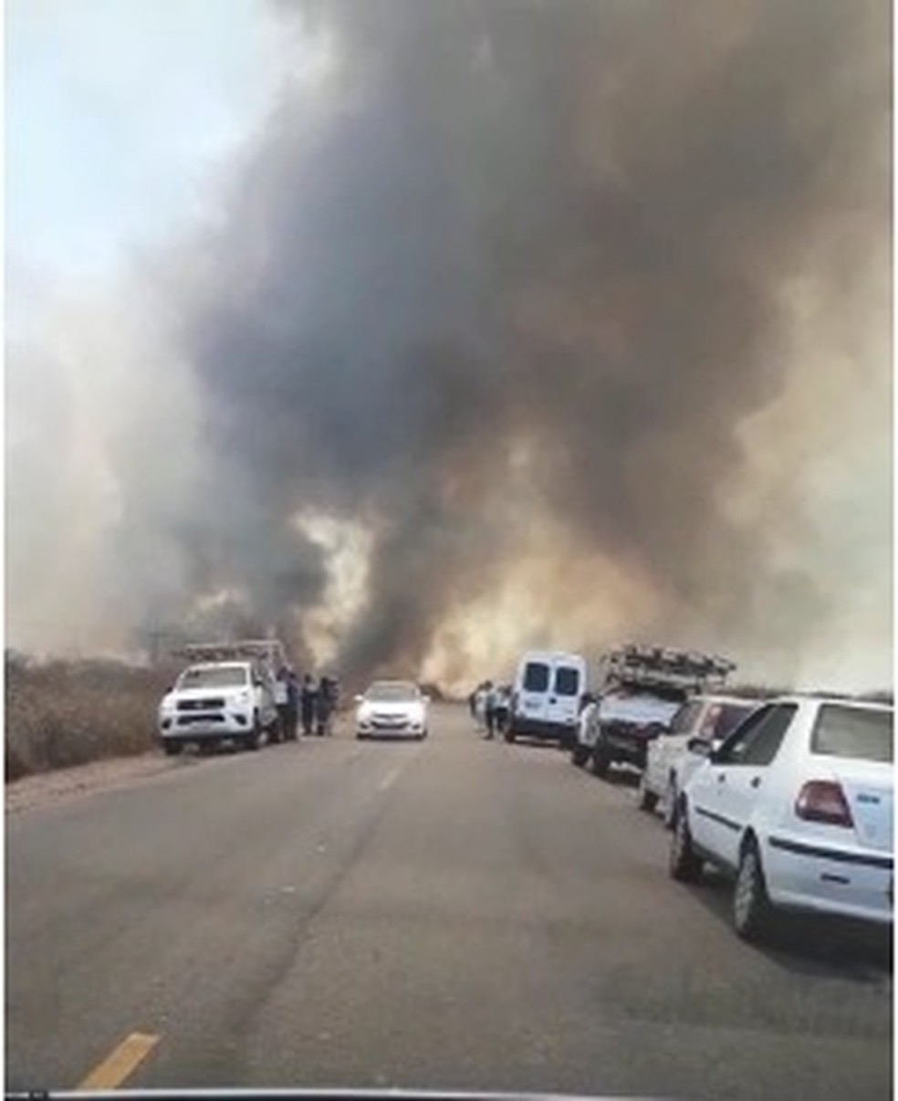 IncÃªndio atinge regiÃ£o de mata na margem da BR-406 no interior do Rio Grande do Norte â€” Foto: ReproduÃ§Ã£o/Redes Sociais