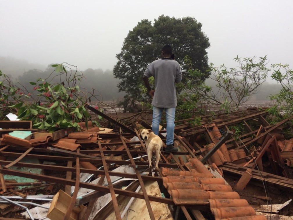Homem olha destruiÃ§Ã£o causada por rompimento de barragem em Brumadinho â€” Foto: Paula Paiva Paulo/G1