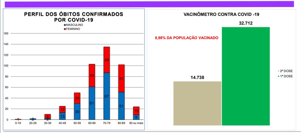 Gráfico mostra perfil dos óbitos por Covid-19 e vacinômetro de Bauru — Foto: Prefeitura de Bauru/Divulgação