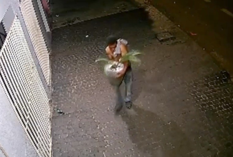 Homem arranca e furta vaso de planta que estava parafusado na calçada no interior de MG; veja vídeo