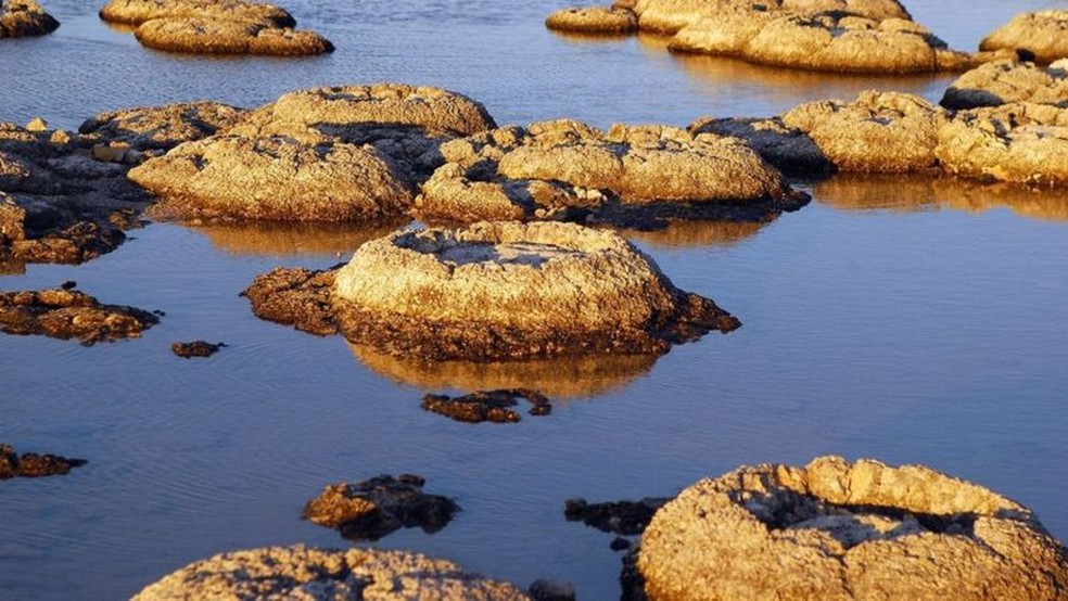 Estromatólitos são fósseis vivos e as formas de vida mais antigas do nosso planeta — Foto: Getty Images via BBC
