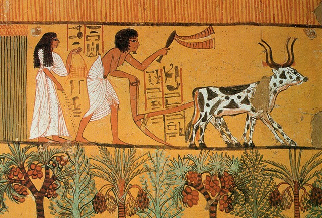 Agricultura na Revolução Neolítica (Foto:  Reprodução)