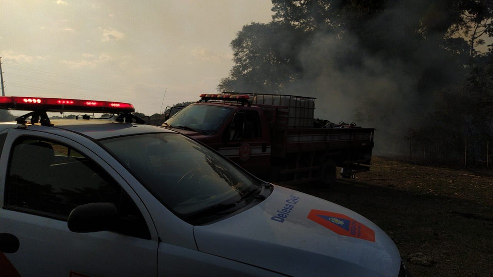 Área de mata foi atingida por incêndio nesta terça-feira (6) — Foto: Defesa Civil