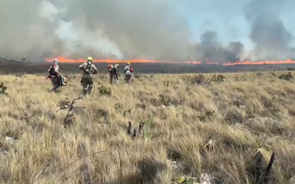 Bombeiros combatendo incêndio na Chapada dos Veadeiros — Foto: Reprodução/TV Anhanguera
