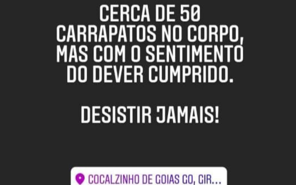 Policial relata que foi atacado por dezenas de carrapatos durante buscas por Lázaro Barbosa em Cocalzinho de Goiás — Foto: Reprodução/Instagram