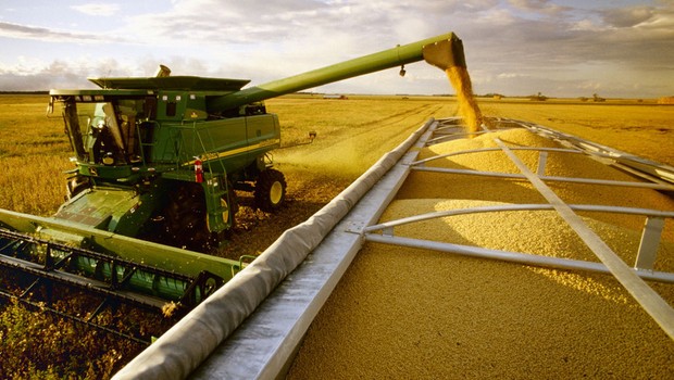 Agronegócio ; safra de grãos ; colheita de soja ; trabalho no campo ;  (Foto: Divulgação)