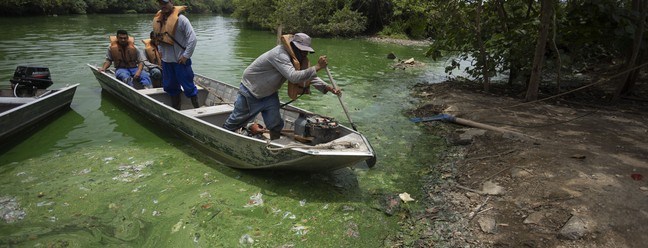 Margens da Lagoa do Camorim, em Jacarepaguá, que agora recebe revitalização — Foto: Márcia Foletto/Agência O Globo
