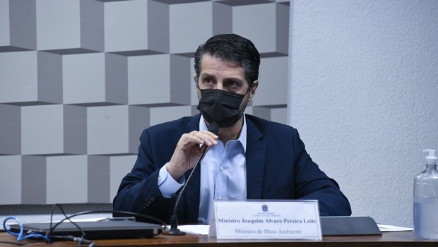 Ministro do Meio Ambiente, Joaquim Leite (Foto: Roque de Sá/Agência Senado)