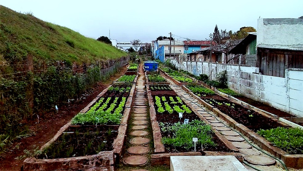 Imagens antes e depois da horta comunitária (Foto: Manoel Silva)