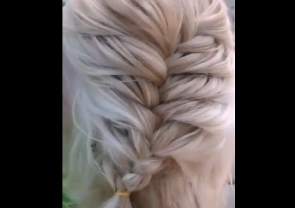Internauta compara penteado trançado de cachorro ao cabelo de Elsa, do Frozen, e bomba na web (Foto: Reproducao Twitter)