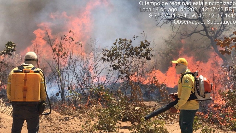 Incêndio atinge vegetação e ameaça subestação de energia em Ribeiro Gonçalves, no Piauí — Foto: Prefeitura de Ribeiro Gonçalves