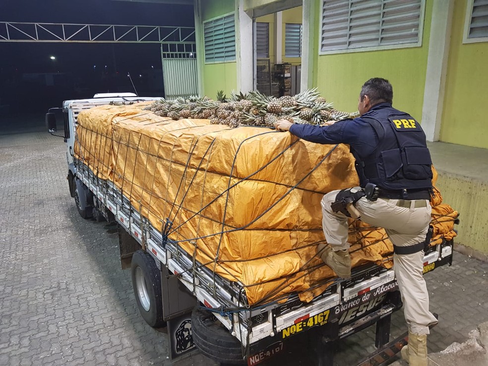 Sete toneladas de abacaxi sem nota fiscal foram apreendidos em Milagres, no sul do Ceará — Foto: Divulgação/PRF