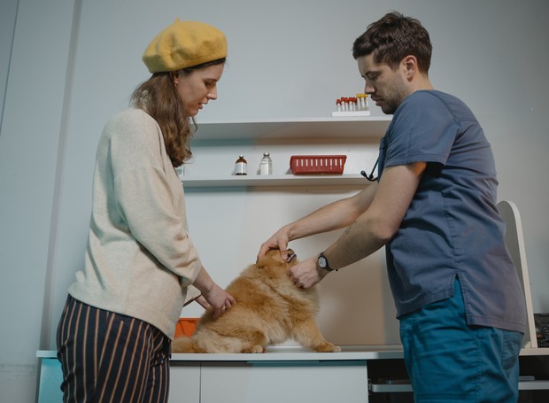 O tutor não deve iniciar por conta própria uma dieta no pet, isso é trabalho do veterinário (Foto: Pexels / Tima Miroshnichenko / CreativeCommons)