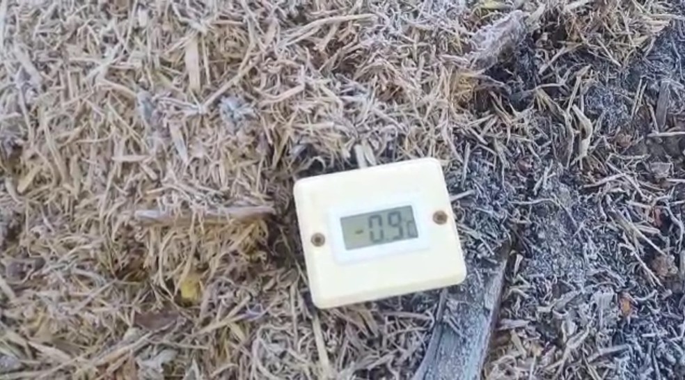 Termômetro de pousada em Rio Claro, RJ, registra -0,9°C — Foto: Divulgação/Felipe 