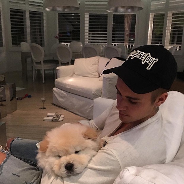 Justin Bieber e o cachorrinho Todd (Foto: Reprodução)