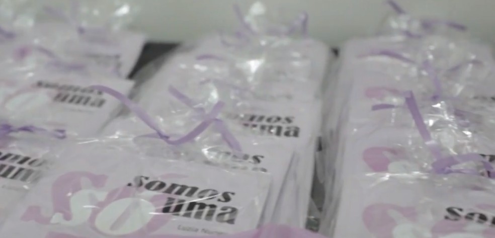 baiana de Irecê cria cartilha para ajudar outras mulheres vítimas de violência doméstica — Foto: Reprodução/TV Bahia