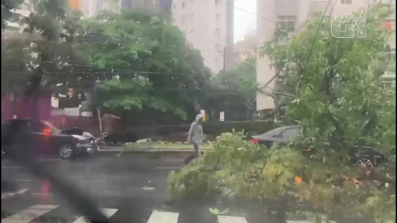VÍDEO: Árvore cai em carro em movimento