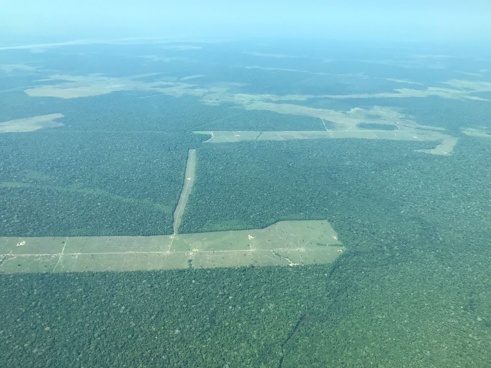 Imagem aérea feita na terça-feira, 16 de agosto de 2022 mostra área de desmatamento — Foto: Ana Kézia Gomes/g1 RO