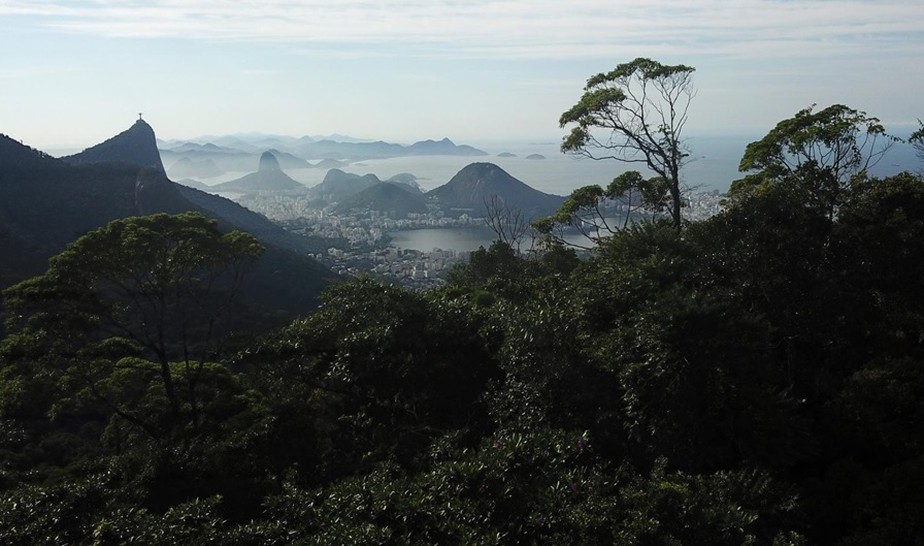 Floresta da Tijuca, que ocupa 3,9 mil hectares, é exemplo de reflorestamento urbano