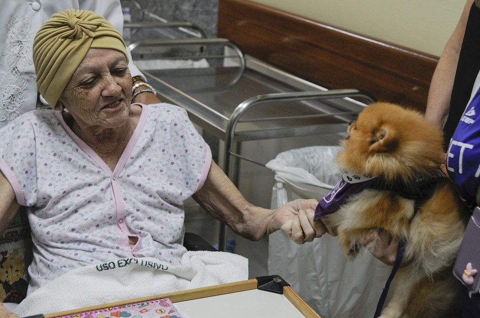 Paciente do Hospital de Apoio, no DF, brinca com cachorro que faz visitas por meio do projeto Pet Amigo — Foto: Geovana Albuquerque/ Secretaria de Saúde do DF