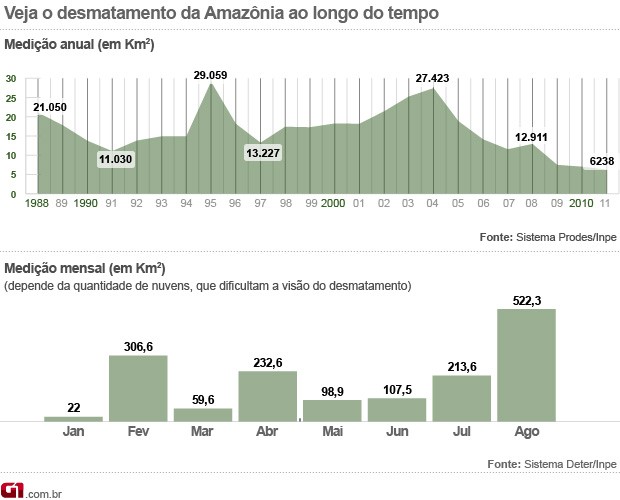 Desmatamento Amazônia agosto (Foto:  )