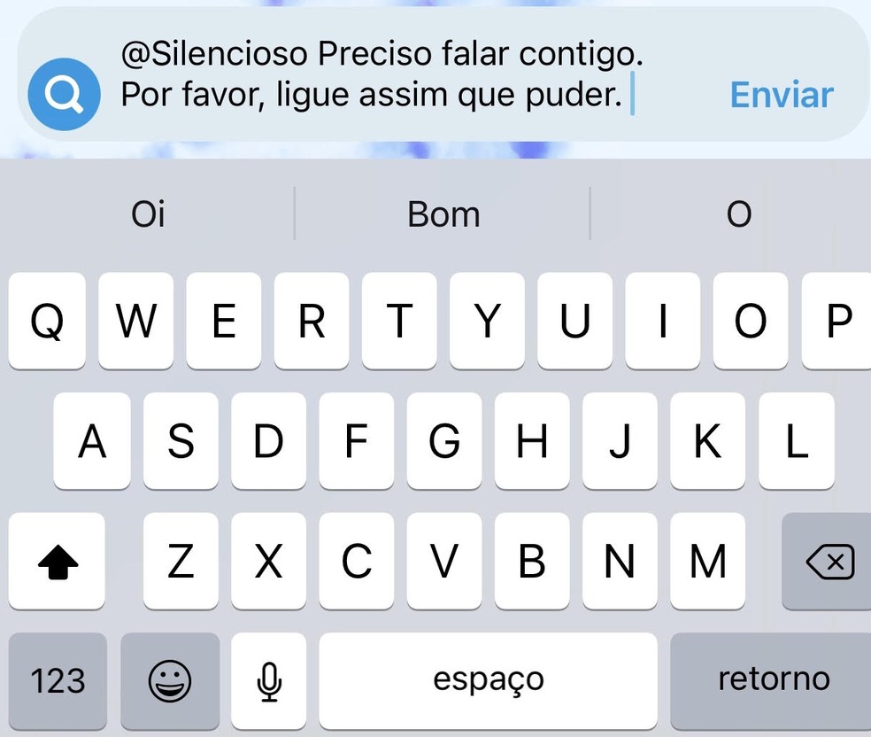 Para silenciar a mensagem, é necessário colocar a tag @Silencioso no início do texto. — Foto: Reprodução