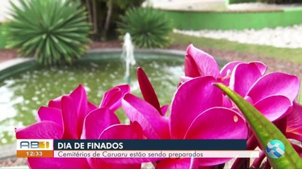 G1 - Comunidade Hare Krishna promove 'Caminhada Pela Paz', em Caruaru -  notícias em Caruaru e Região