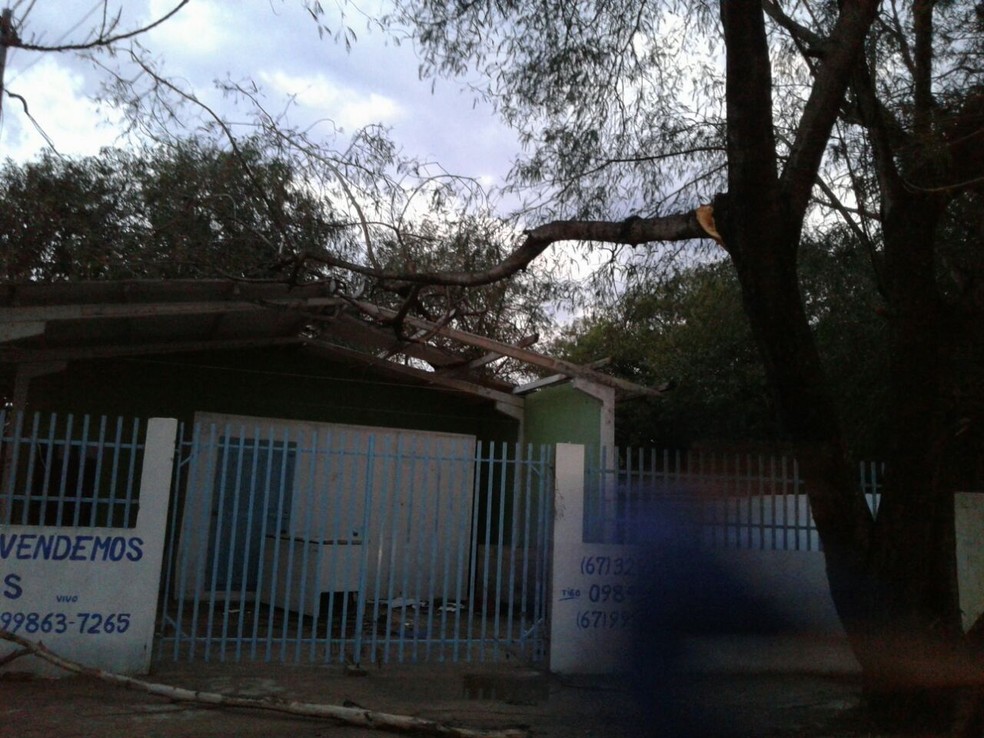 Galhos de árvore sobre casa; parte das telhas da varanda caíram (Foto: Corpo de Bombeiros/ Divulgação)