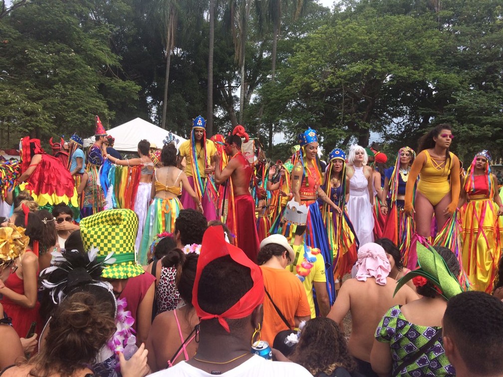 Fotografia do Bloco Terreirada Cearense, na Quinta da Boa Vista, em fevereiro de 2017  — Foto: Andressa Gonçalves/G1