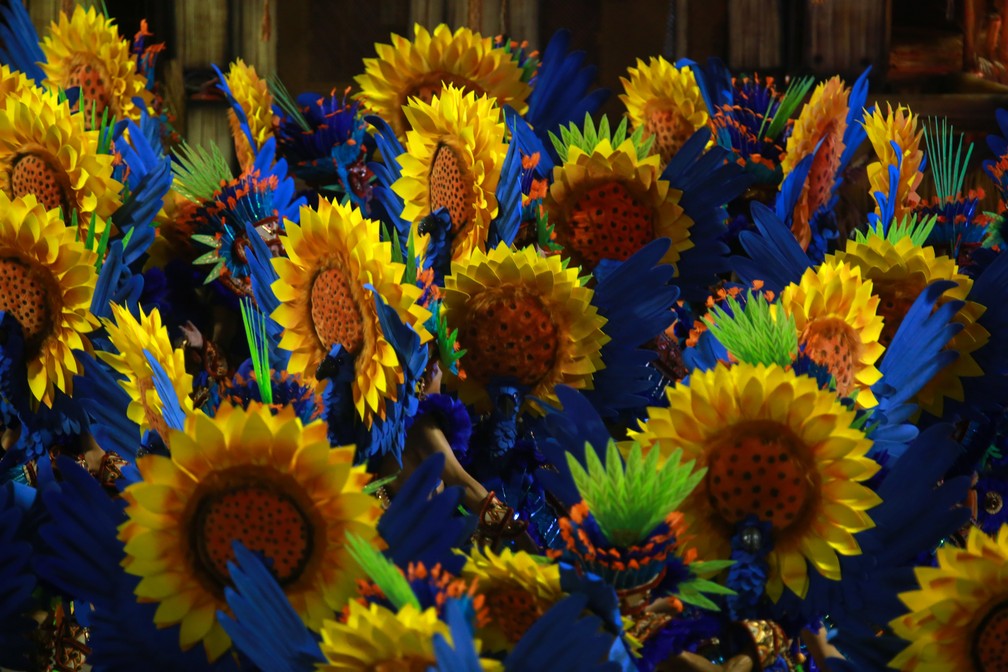 Detalhes do desfile de fÃ¡bulas e cores da Beija-Flor â€” Foto: Rodrigo Gorosito/G1