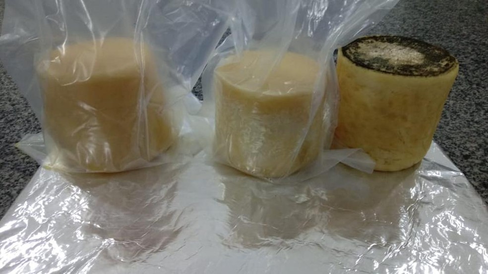 Queijo produzido durante pesquisa em São João del Rei — Foto: Junio Cesar/Arquivo Pessoal