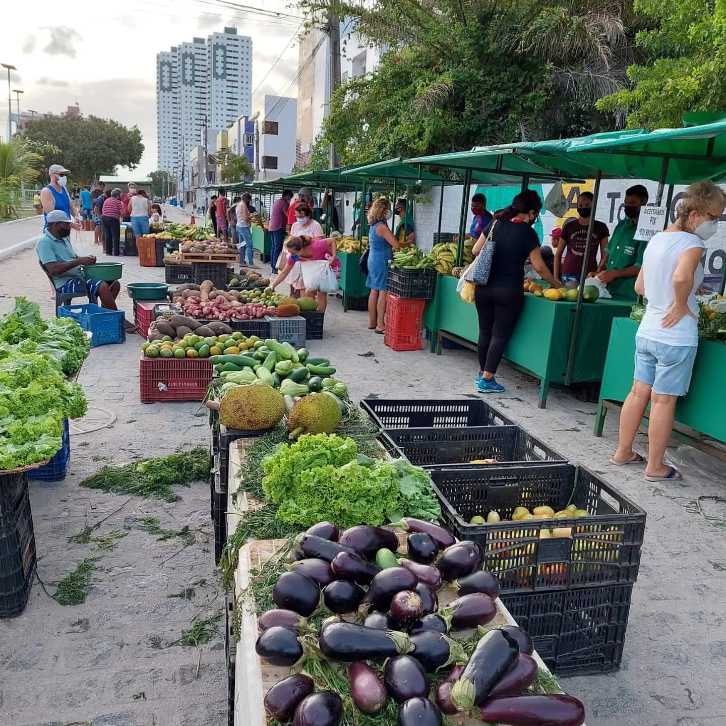 Agricultora há mais de 20 anos fala sobre rotina de trabalho: 'o que o homem planta, a cidade janta'