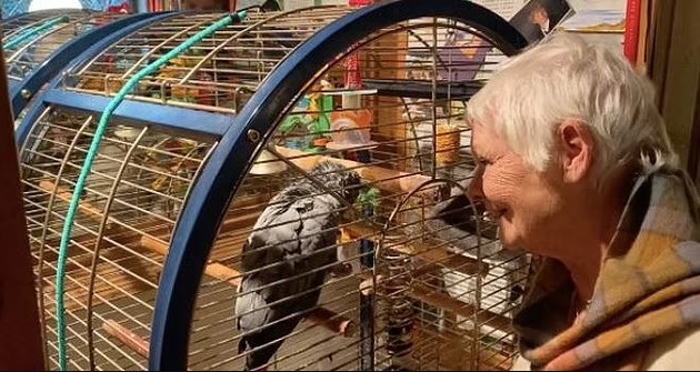 Judi Dench e o papagaio Sweetheart (Foto: reprodução)