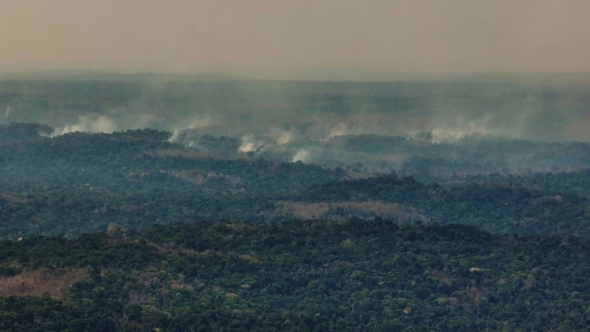 Incêndio atinge Pq. Cristalino II em MT; ONG aponta alta em desmatamento | Mato  Grosso | G1