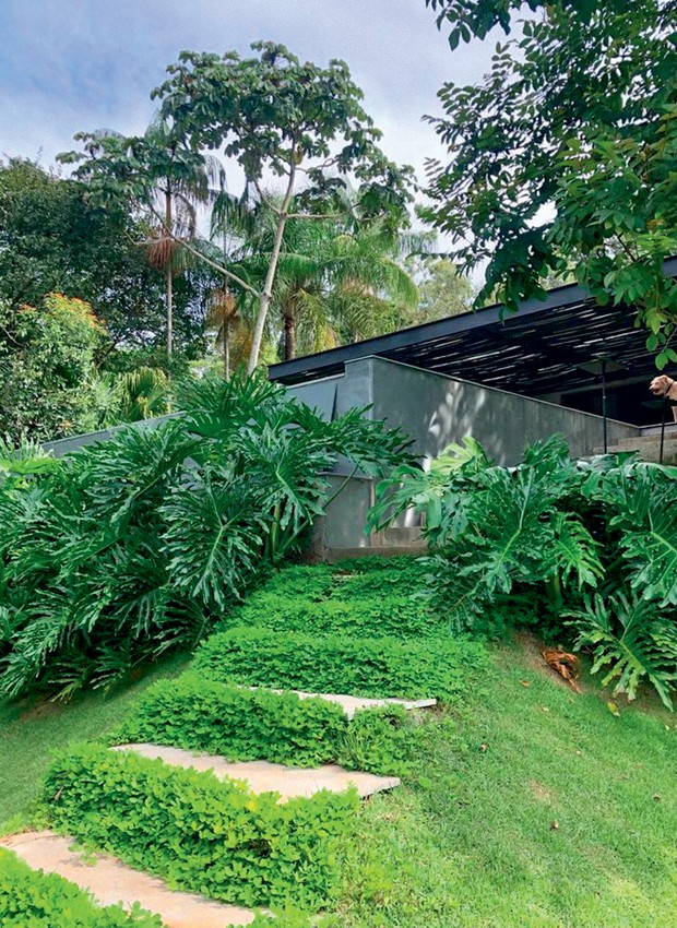 Jardim criado pela paisagista Claudia Diamant (Foto: Claudia Diamant / Divulgação)