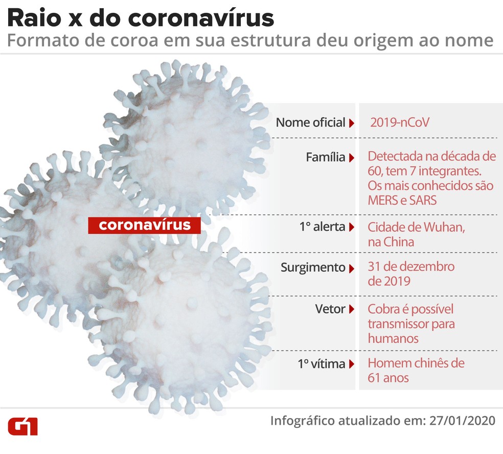 Raio X do novo coronavírus  — Foto: Amanda Paes e Cido Gonçalves/Arte G1