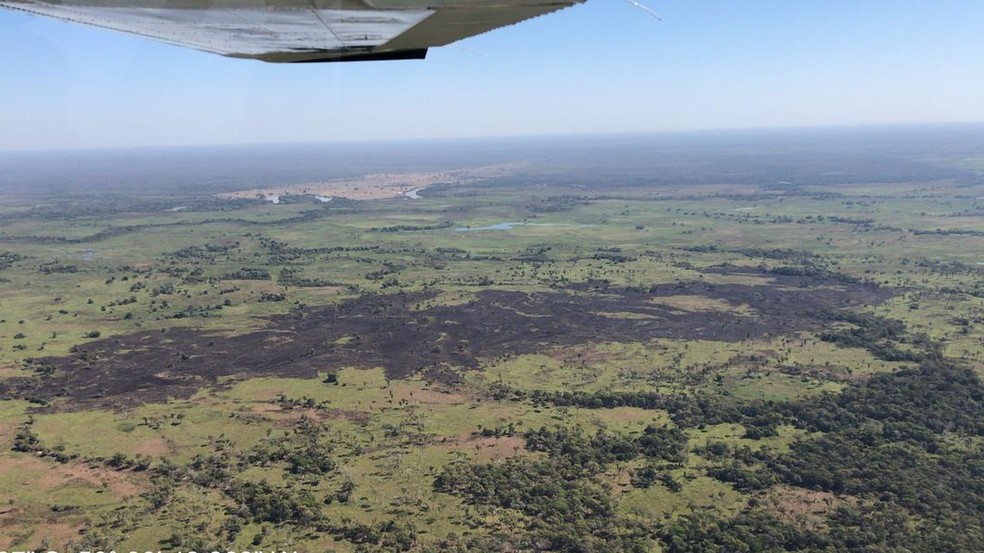 Primeiro incndio destruiu 2 km de mata da Terra Indgena Baa dos Guat  Foto: Tenente Thiago/CBM