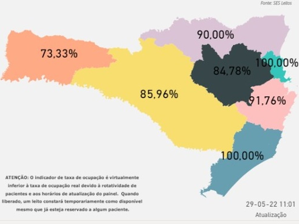 Mapa mostra ocupação em leitos classificados como neonatal e pediátrico de SC — Foto: Governo de SC/Divulgação